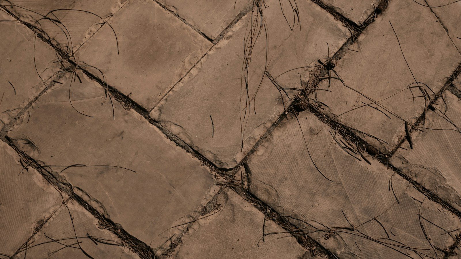 Brown rectangular pavers